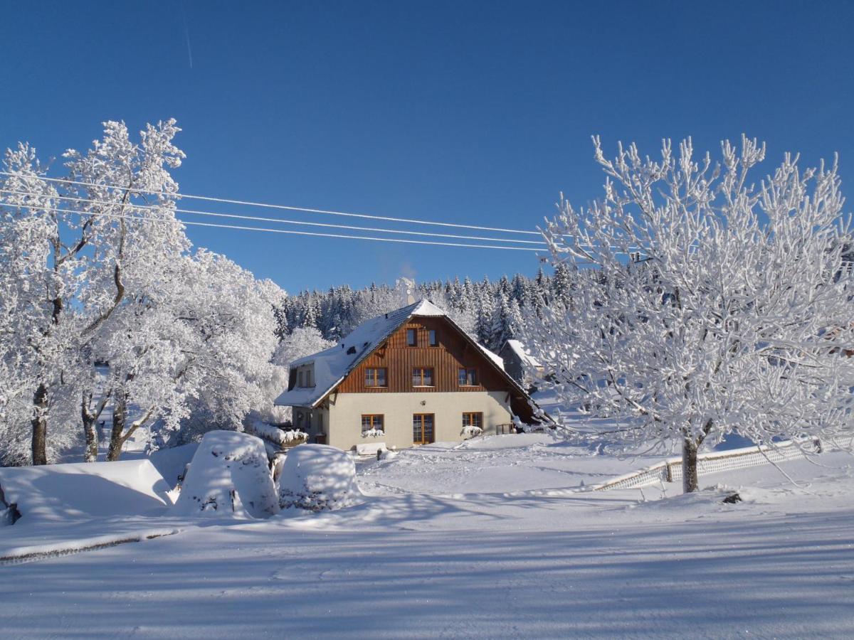 Penzion Sehnoutkovi Bedrichov  Exterior photo